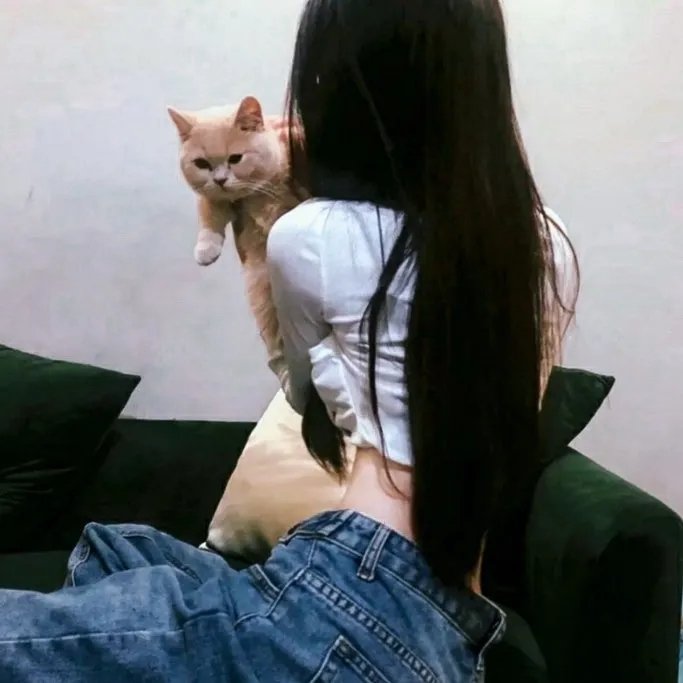 爱上查美乐